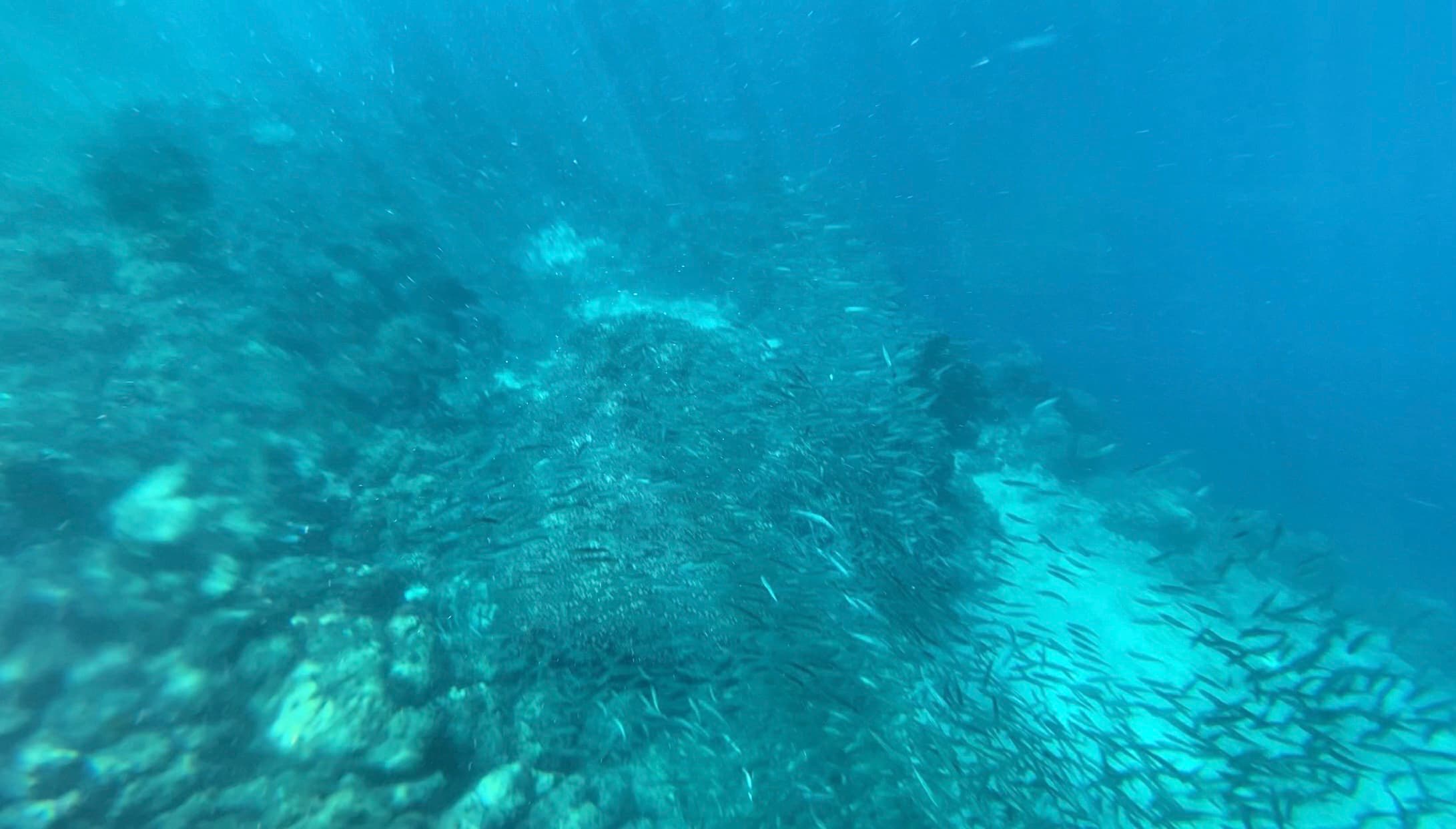 Pescador Island