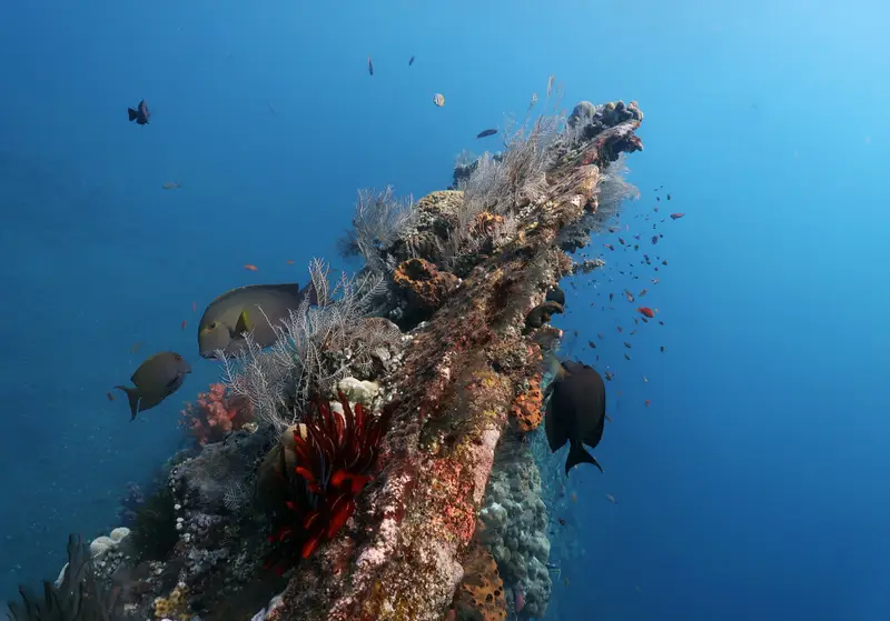 USS Liberty Wreck