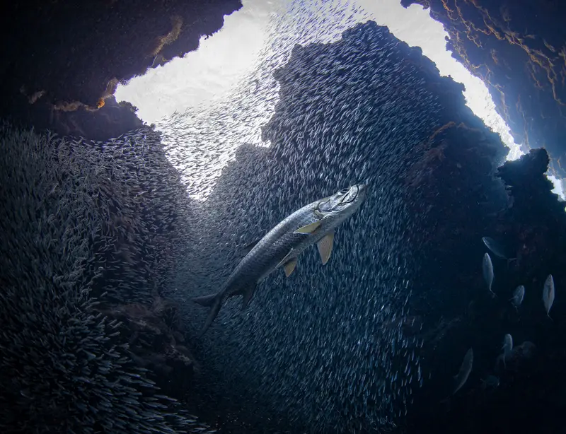 Hilma Hooker Wreck