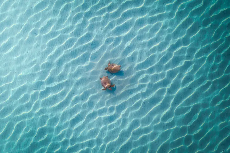 Two-Mile Reef
