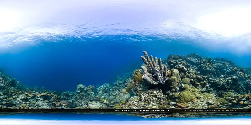 Salt Pier
