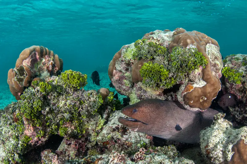 Bangaram Atoll